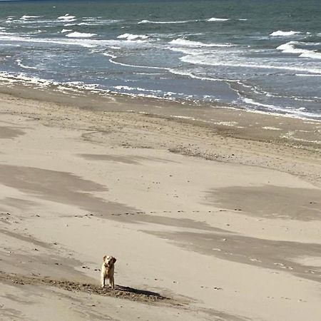 Natur Pur, O4 Neues Ferienhaus Natureingebunden, Familien- Und Hundefreundlich Eingezaeunt Callantsoog Bagian luar foto