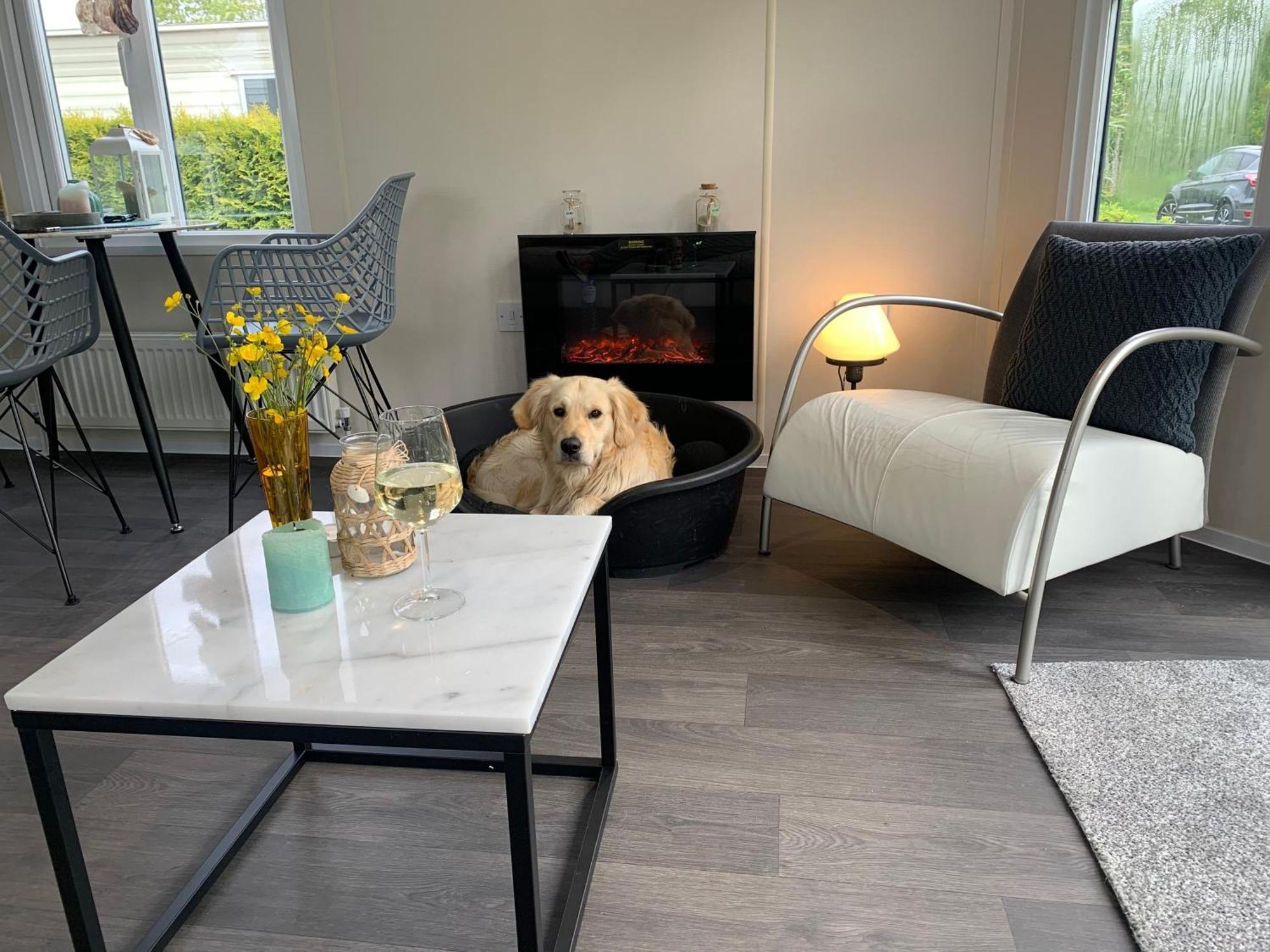 Natur Pur, O4 Neues Ferienhaus Natureingebunden, Familien- Und Hundefreundlich Eingezaeunt Callantsoog Bagian luar foto