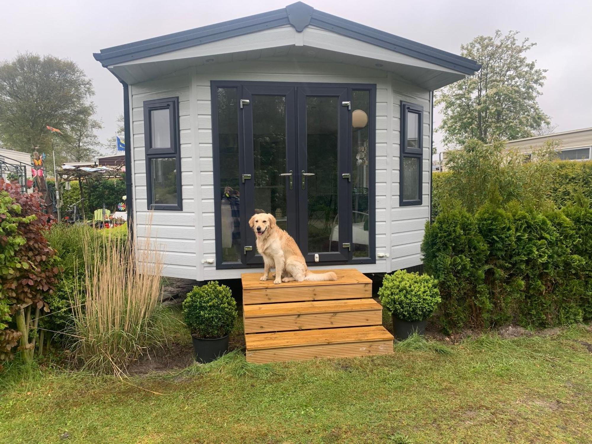 Natur Pur, O4 Neues Ferienhaus Natureingebunden, Familien- Und Hundefreundlich Eingezaeunt Callantsoog Bagian luar foto